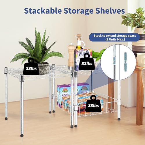 HealSmart Heavy Duty Storage Shelves