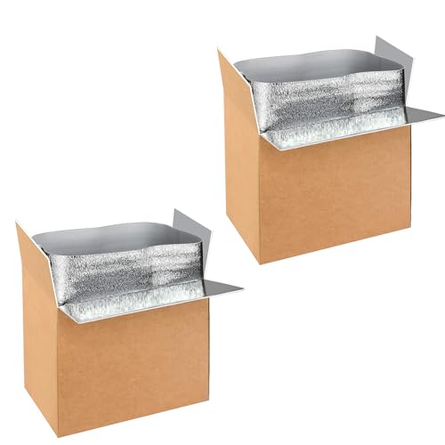YSSOA Insulated Shipping Boxes with Aluminum Foil Liner,Thermal Insulation Cold Pack Shipping Boxes for Frozen Food, Reusable Styrofoam Cooler Box, Small Mailing Box