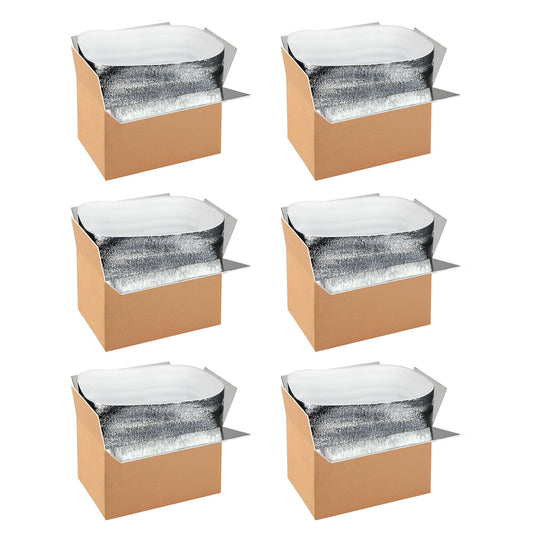 YSSOA Insulated Shipping Boxes with Aluminum Foil Liner,Thermal Insulation Cold Pack Shipping Boxes for Frozen, Reusable Styrofoam Cooler Box, Small Mailing Box