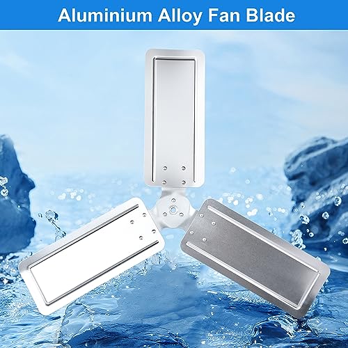 Simple Deluxe Fan