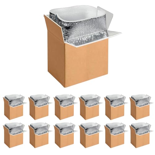 YSSOA Insulated Shipping Boxes with Aluminum Foil Liner,Thermal Insulation Cold Pack Shipping Boxes for Frozen, Reusable Styrofoam Cooler Box, Small Mailing Box