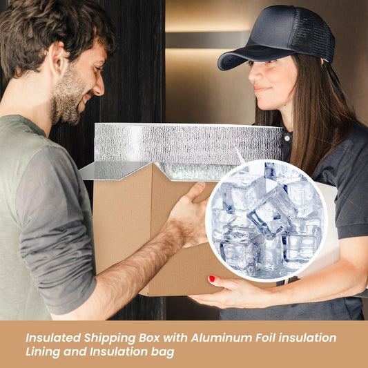 YSSOA Insulated Shipping Boxes with Aluminum Foil Liner,Thermal Insulation Cold Pack Shipping Boxes for Frozen, Reusable Styrofoam Cooler Box, Small Mailing Box
