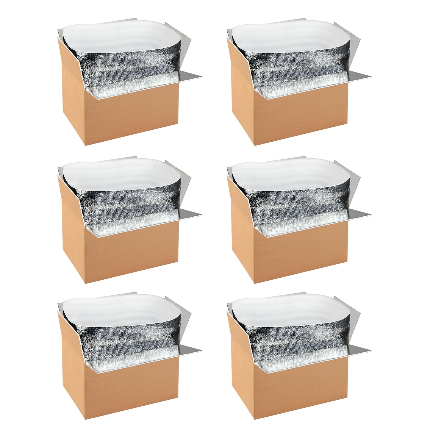 YSSOA Insulated Shipping Boxes with Aluminum Foil Liner,Thermal Insulation Cold Pack Shipping Boxes for Frozen Food, Reusable Styrofoam Cooler Box, Small Mailing Box