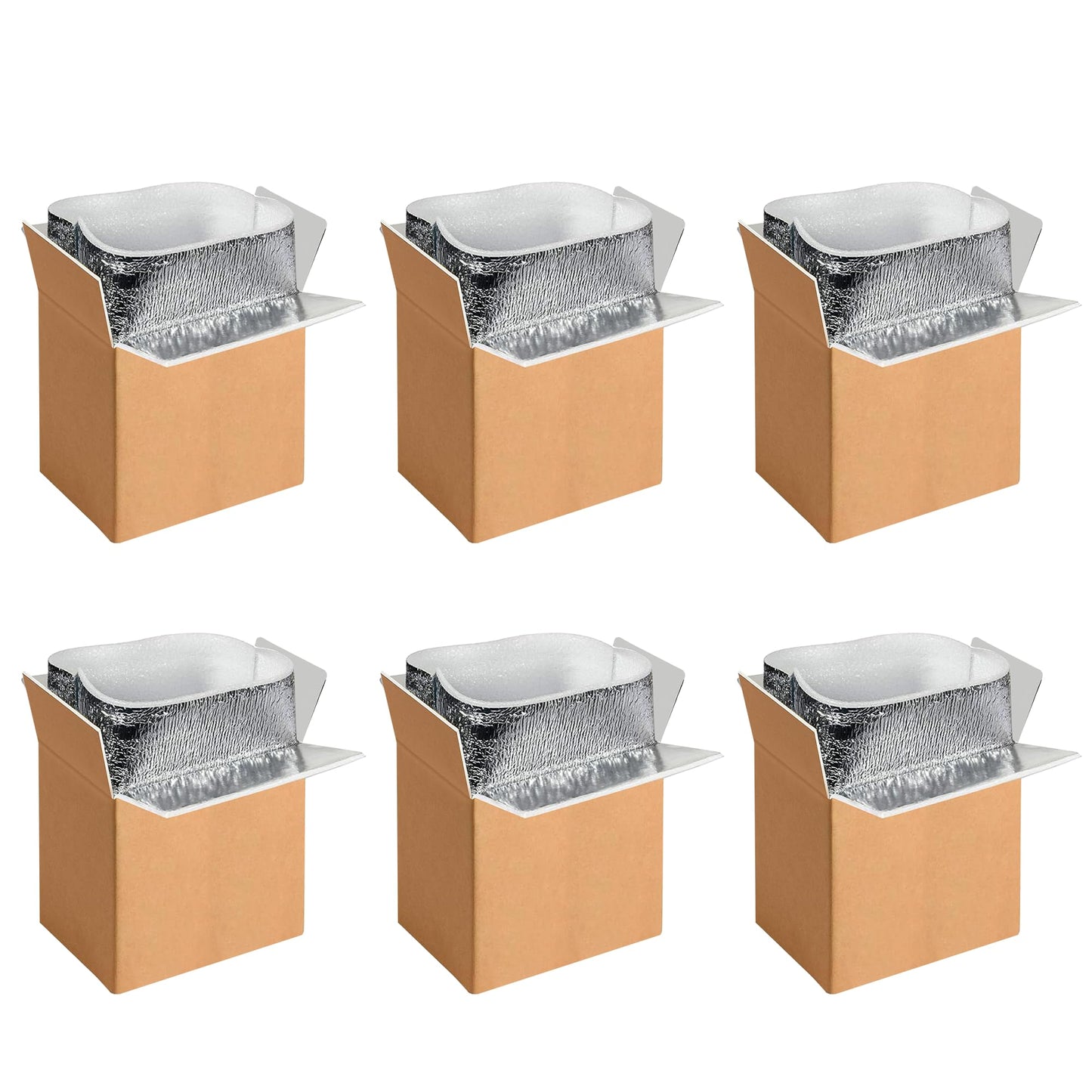 YSSOA Thermo Chill Double Insulated Carton with Foil Insulated Bag Liner, Small Mailing Box, Shipping Box for Mailing, Shipping, Packing, Moving,Box Inside Dimension