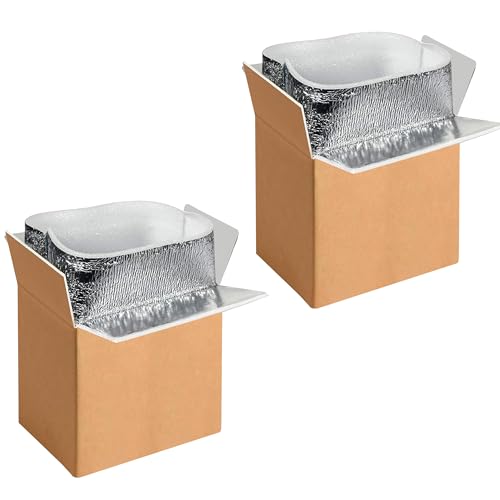 YSSOA Thermo Chill Double Insulated Carton with Foil Insulated Bag Liner, Small Mailing Box, Shipping Box for Mailing, Shipping, Packing, Moving,Box Inside Dimension