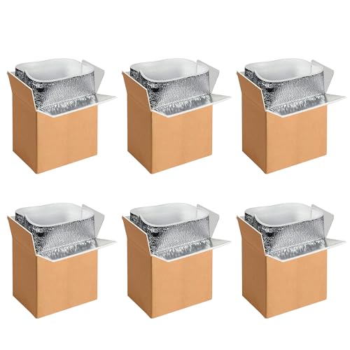 YSSOA Insulated Shipping Boxes with Aluminum Foil Liner,Thermal Insulation Cold Pack Shipping Boxes for Frozen, Reusable Styrofoam Cooler Box, Small Mailing Box