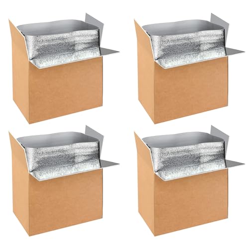 YSSOA Insulated Shipping Boxes with Aluminum Foil Liner,Thermal Insulation Cold Pack Shipping Boxes for Frozen, Reusable Styrofoam Cooler Box, Small Mailing Box