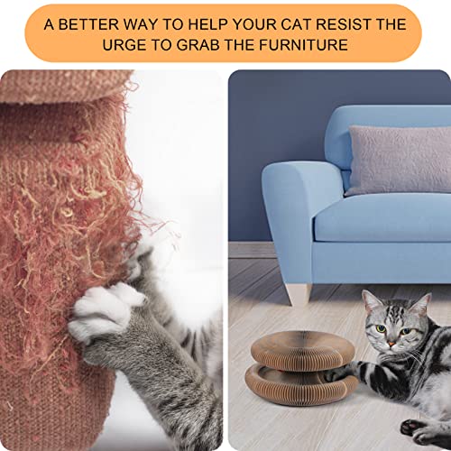 FluffyDream Cat Scratcher Cardboard Lounge Bed