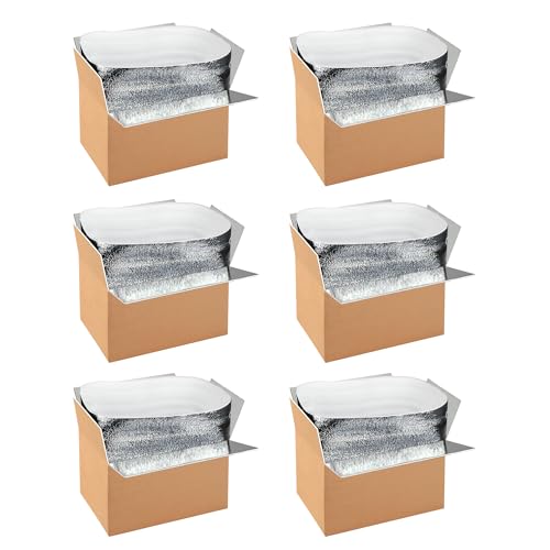 YSSOA Insulated Shipping Boxes with Aluminum Foil Liner,Thermal Insulation Cold Pack Shipping Boxes for Frozen, Reusable Styrofoam Cooler Box, Small Mailing Box