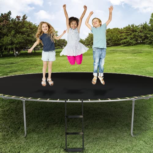 Simple Deluxe Trampoline Ladder with Horizontal and Wide Steps, 12FT 14FT Trampoline Ladder for Kids/Children 2-Steps Trampoline Stairs Universal Hook UV Treated Steel 220 lbs Trampoline Parts