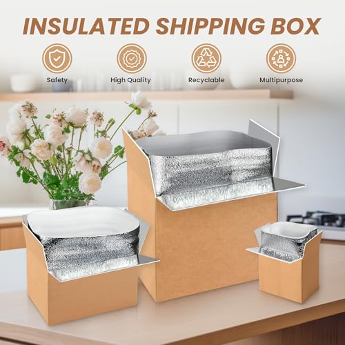 YSSOA Insulated Shipping Boxes with Aluminum Foil Liner,Thermal Insulation Cold Pack Shipping Boxes for Frozen Food, Reusable Styrofoam Cooler Box, Small Mailing Box