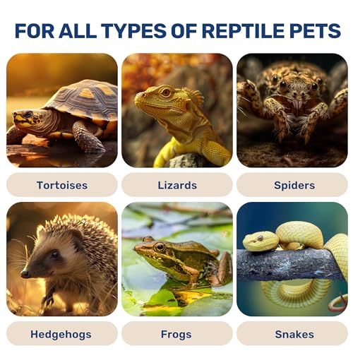 YSSOA Reptile Heat Lamp, Ceramic No Light Emitting Heat Bulbs, Suitable for Snake/Lizard/Spider, Incubating Chicken and Plant Growth