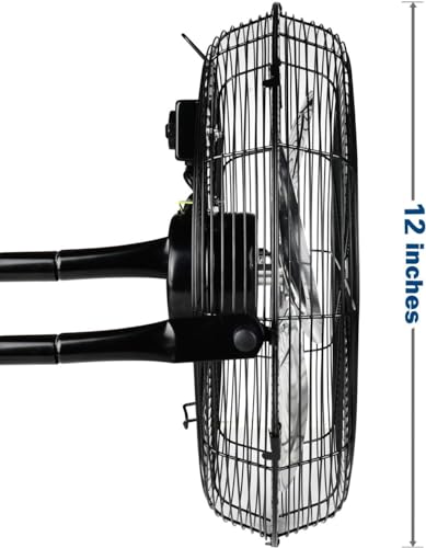 Simple Deluxe Fan