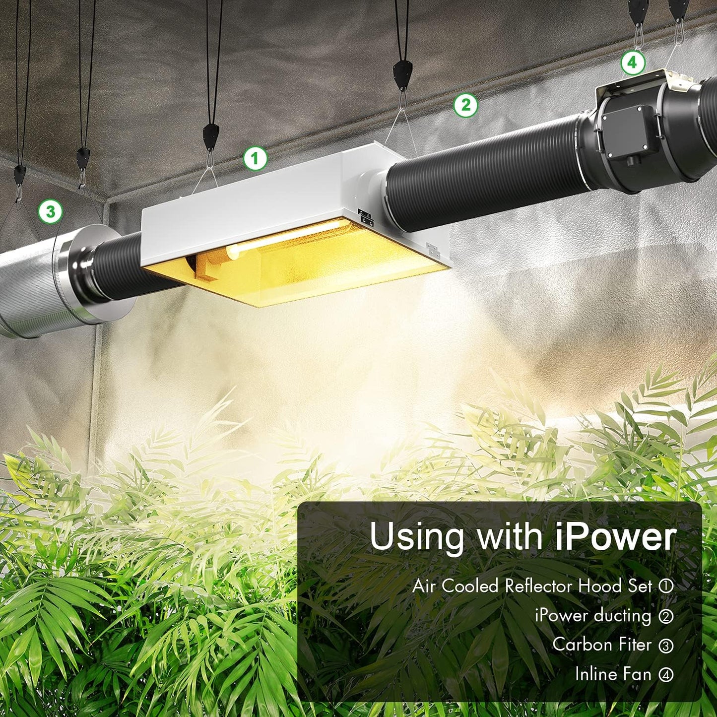 iPower