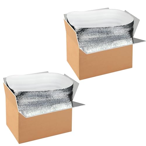 YSSOA Insulated Shipping Boxes with Aluminum Foil Liner,Thermal Insulation Cold Pack Shipping Boxes for Frozen, Reusable Styrofoam Cooler Box, Small Mailing Box