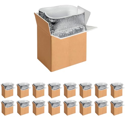 YSSOA Thermo Chill Double Insulated Carton with Foil Insulated Bag Liner, Small Mailing Box, Shipping Box for Mailing, Shipping, Packing, Moving,Box Inside Dimension
