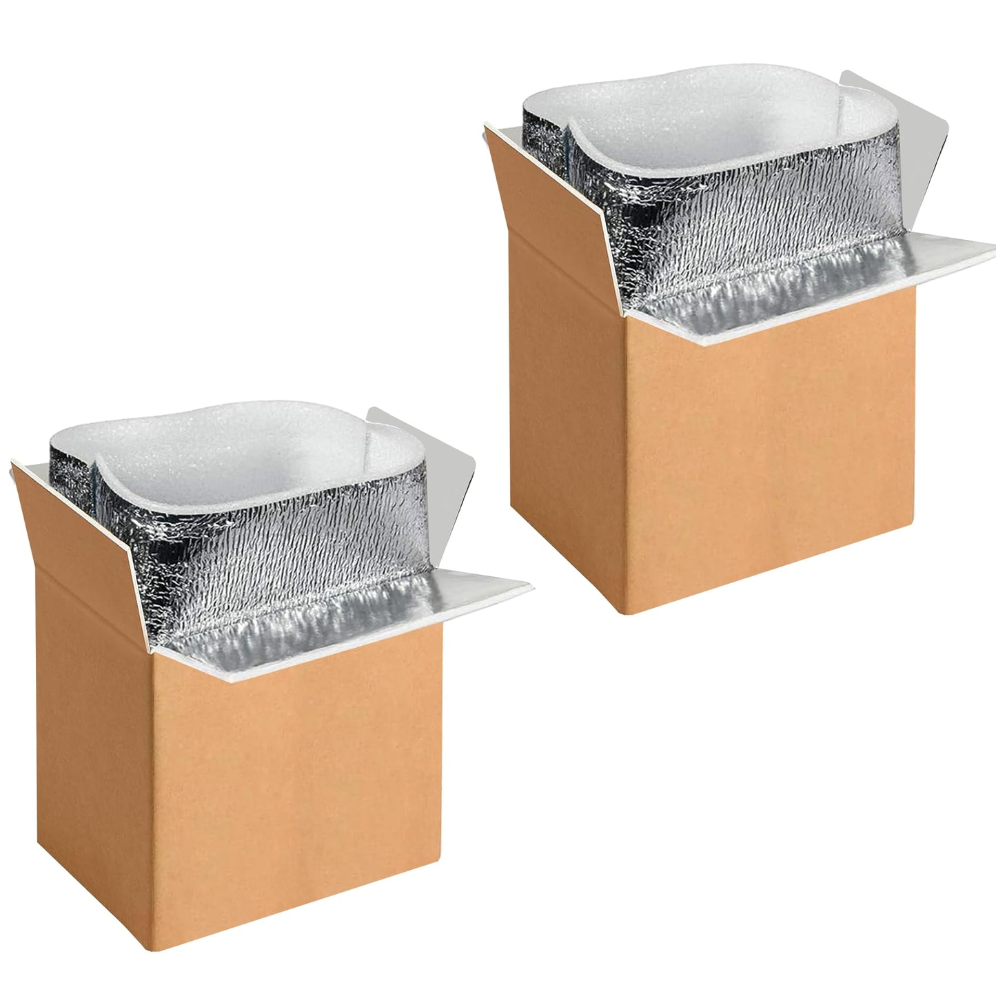 YSSOA Insulated Shipping Boxes with Aluminum Foil Liner,Thermal Insulation Cold Pack Shipping Boxes for Frozen, Reusable Styrofoam Cooler Box, Small Mailing Box