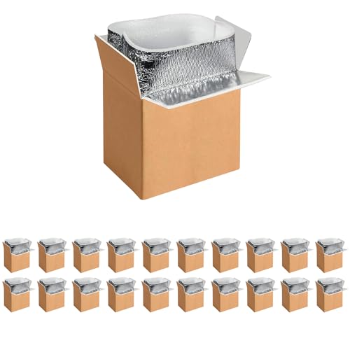 YSSOA Thermo Chill Double Insulated Carton with Foil Insulated Bag Liner, Small Mailing Box, Shipping Box for Mailing, Shipping, Packing, Moving,Box Inside Dimension